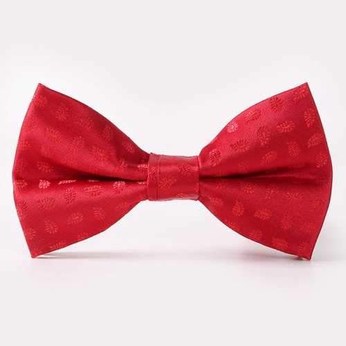 Stylish Small Paisley Jacquard Wedding Banquet Party Red Bow Tie For Men - Red