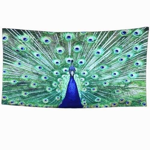 Blue Peafowl Rectangle Scarf - Green