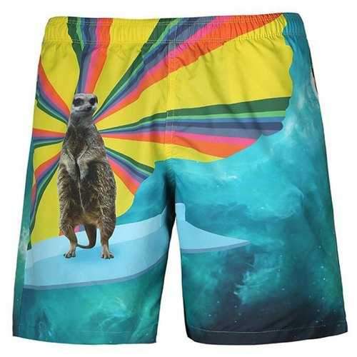 Men's Casual 3D Print Beach Shorts - Cyan Or Aqua M