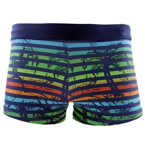 Coconut Tree Printing Trunks